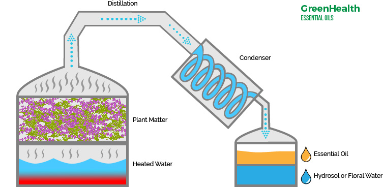 steam-distillation